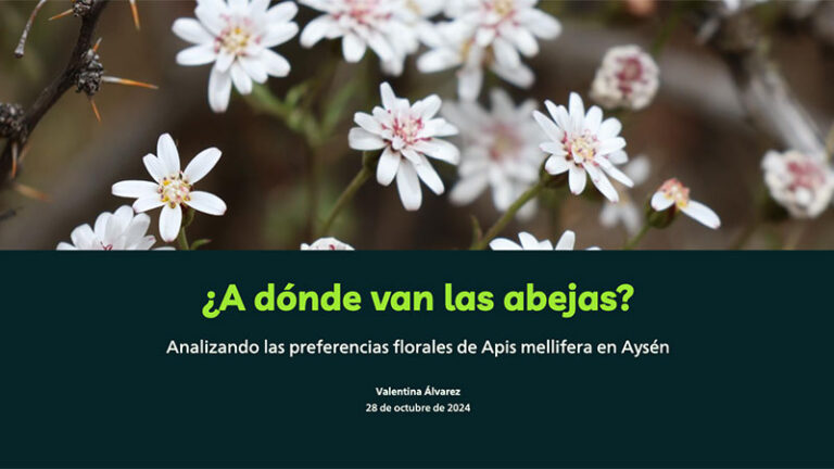 IDE Gore Aysen Story map adonde-van-las-abejas